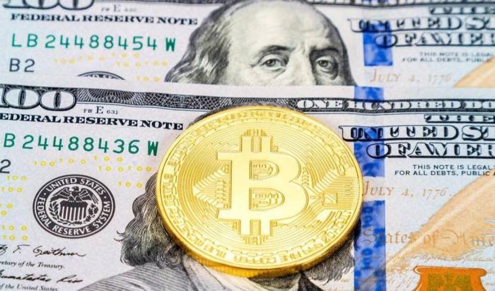 The Decline of Dollar Dominance: A Looming Debt Crisis