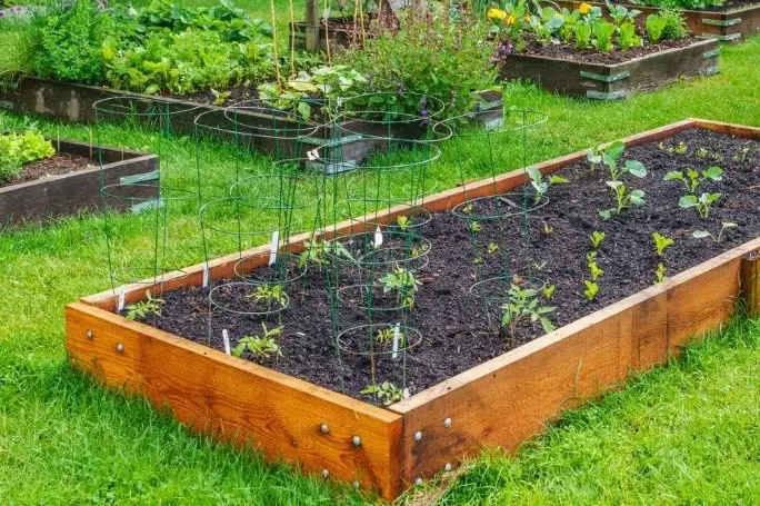 cost of raised garden beds