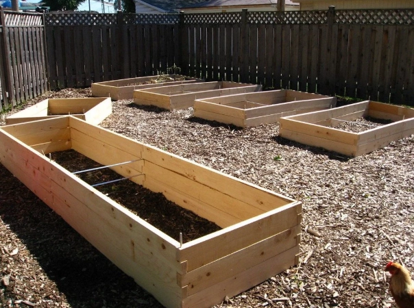 vegetable garden planning vegetable garden planning