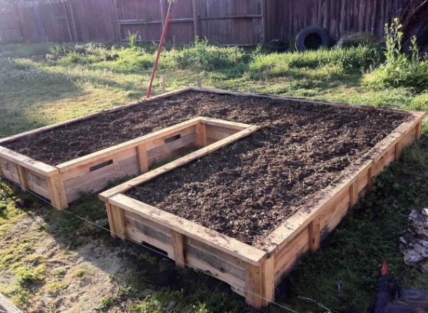cost of raised garden beds