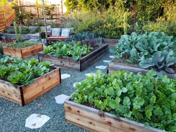 garden bed design garden bed design