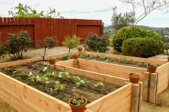 gardening tips raised beds