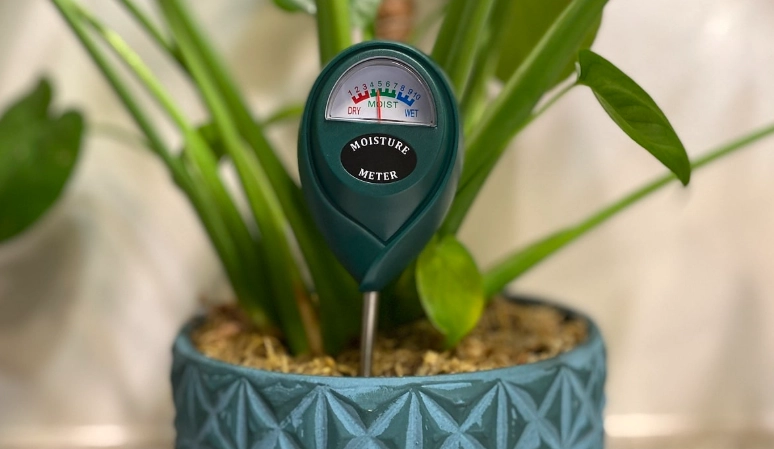 how to use a moisture meter for plants how to use a moisture meter for plants