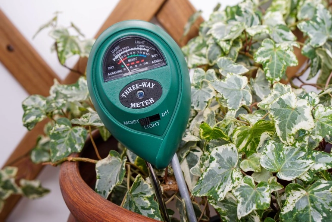 plant moisture meter reviews plant moisture meter reviews