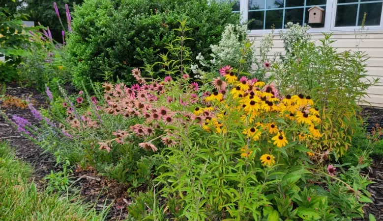 how to start a native garden