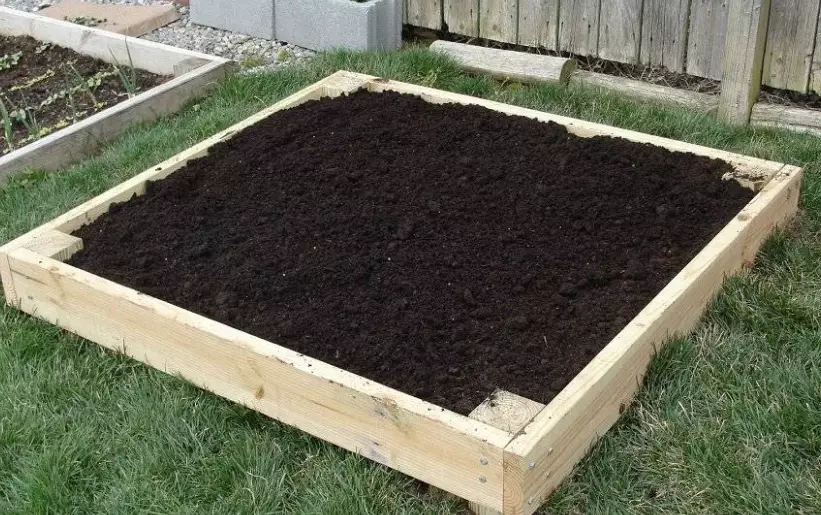 best soil for raised garden beds