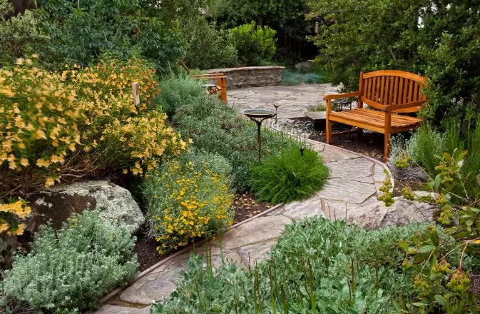 how to start a native garden how to start a native garden