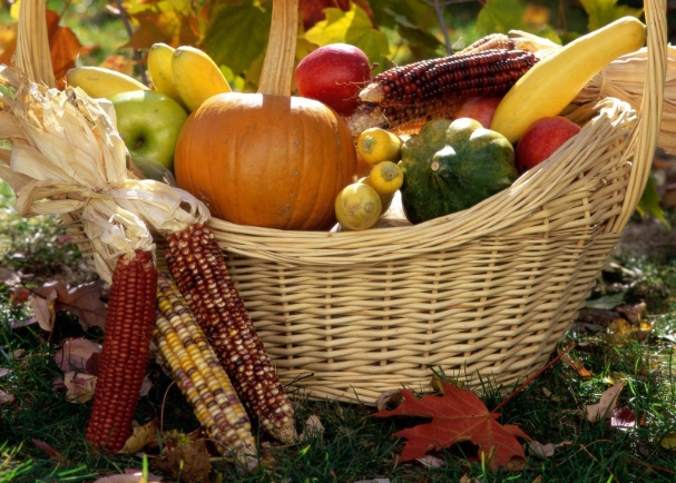 harvest timing for vegetables harvest timing for vegetables