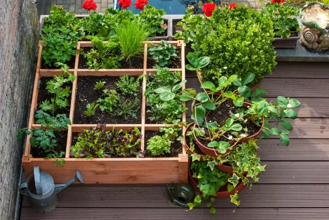 container gardening tips container gardening tips