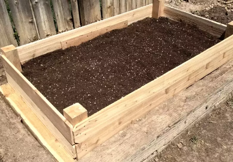 best soil for raised garden beds