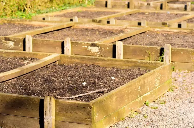 ideal depth for raised garden
