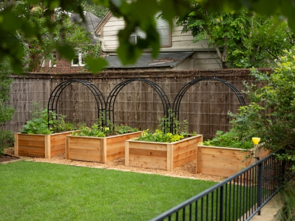 best soil for raised beds