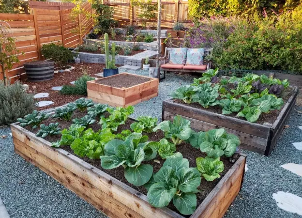 how to build a raised garden bed