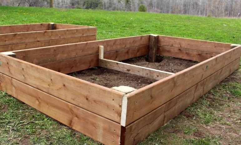raised bed soil mistakes