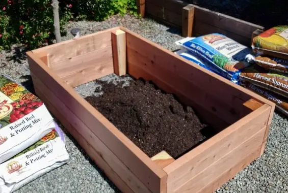 raised bed soil mistakes