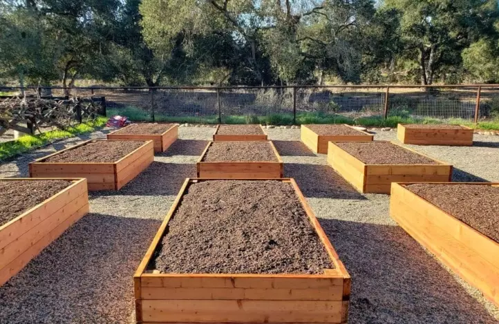 raised bed gardening tips