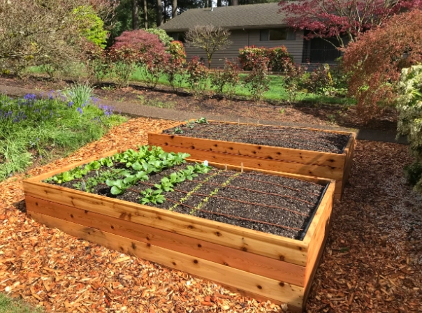 how to build a raised garden bed
