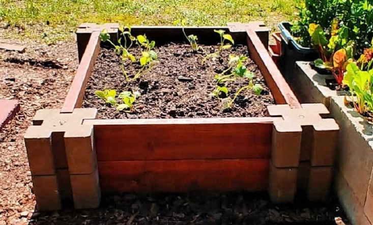 raised garden bed depth