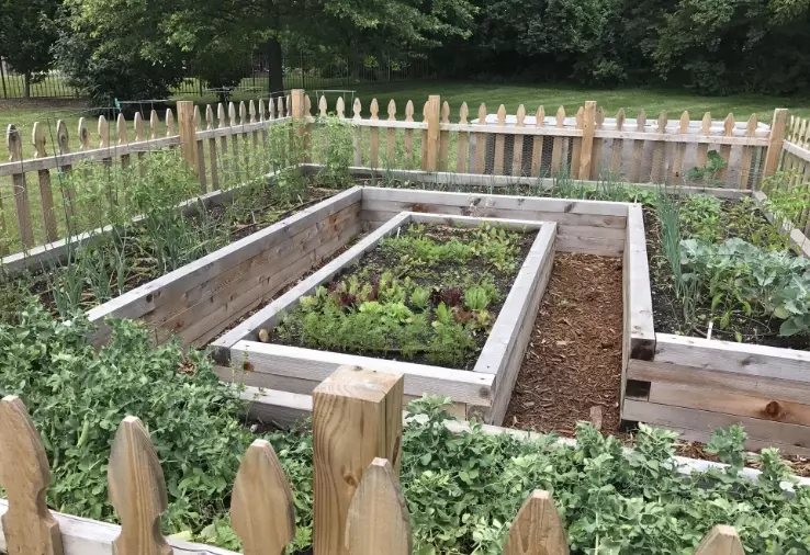 how to plan a raised bed vegetable garden