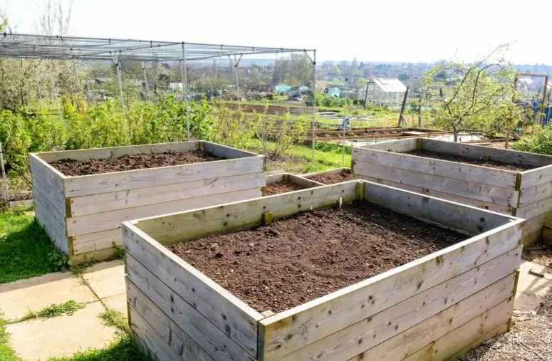 how deep raised bed for vegetables