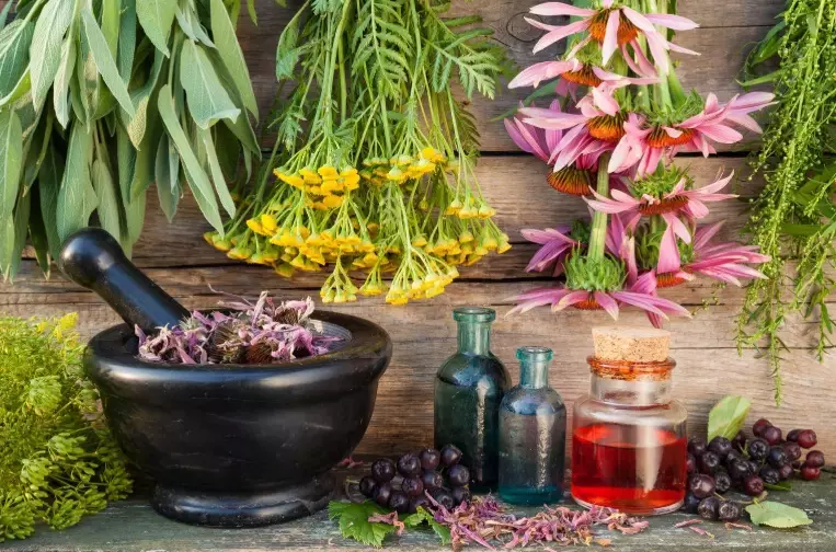 herbal medicine herbal medicine