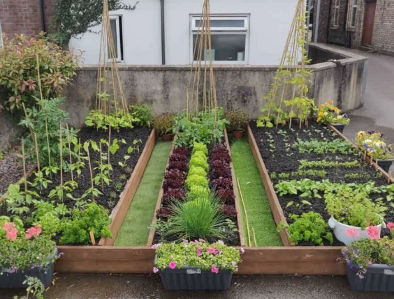 raised bed vegetable garden plans