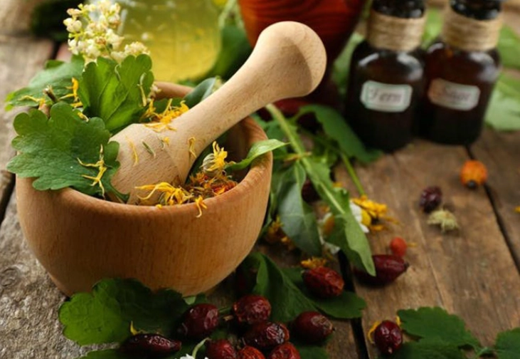 herbal medicine herbal medicine