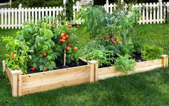how to build a raised garden bed