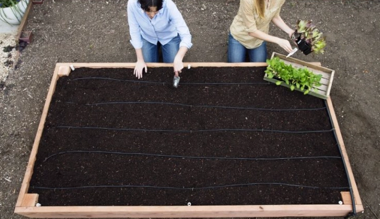 raised garden bed depth