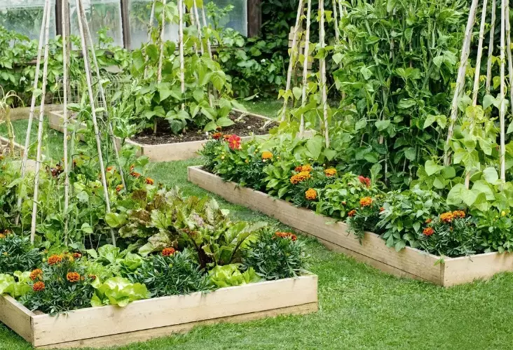 ideal depth for raised garden