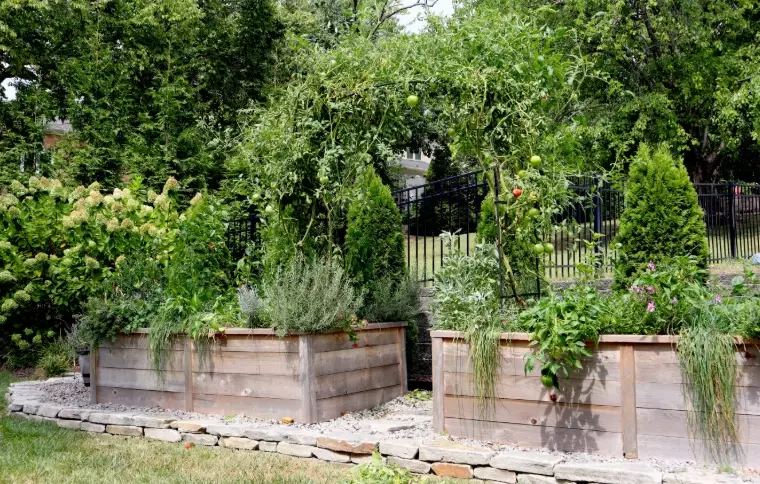 what not to fill raised beds with