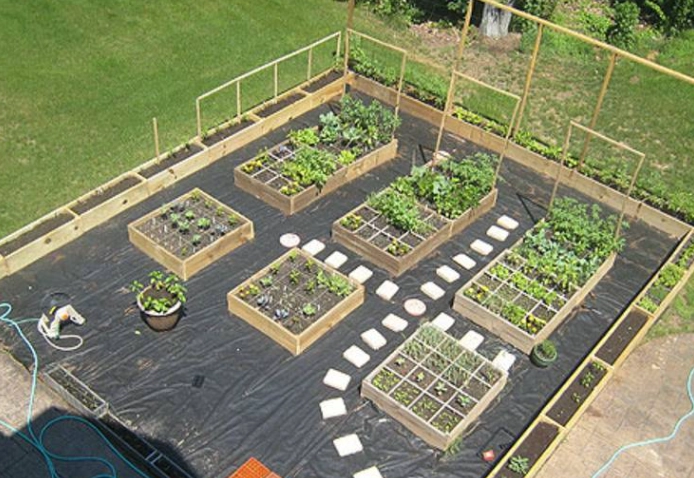 raised garden bed plans for beginners