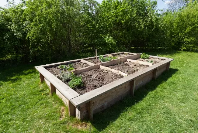 best soil for raised beds