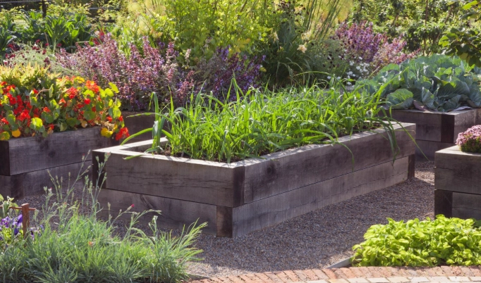 what not to fill raised beds with