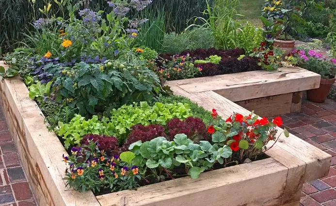 how to build a raised garden bed