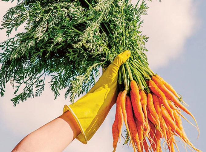climate change gardening