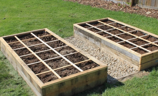 raised bed gardening on a budget