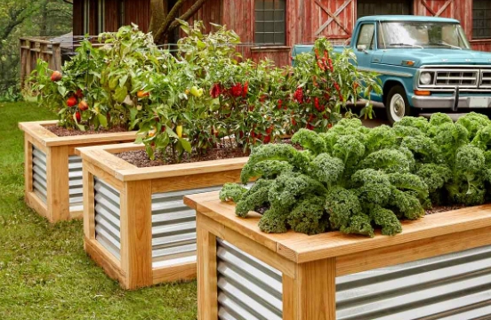 raised bed gardening on a budget