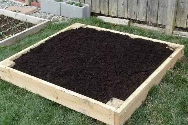 how to amend garden soil for raised beds