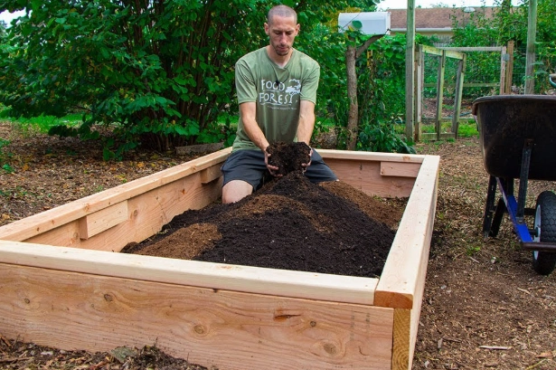 DIY raised garden bed cost