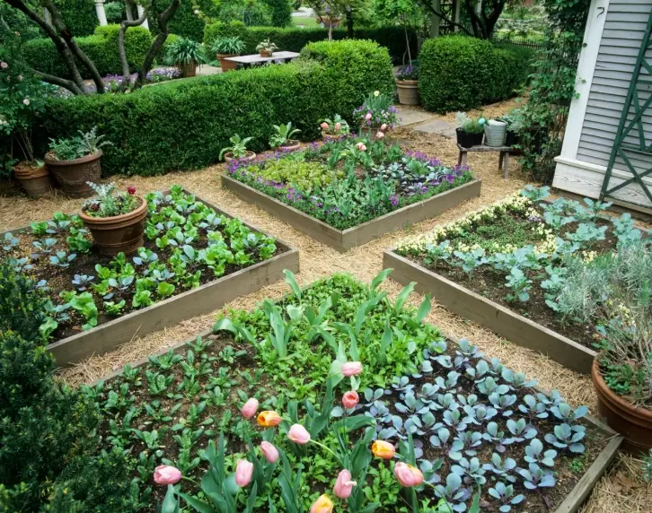 small space gardening