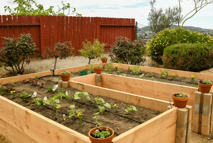 DIY raised garden bed cost