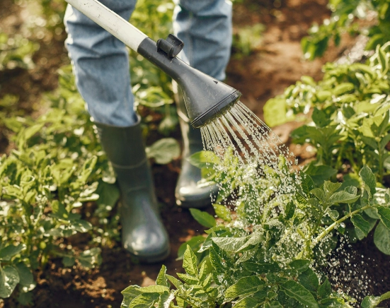sustainable gardening