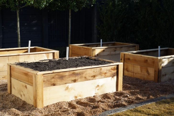 garden soil vs raised bed soil