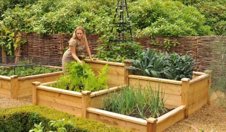 raised bed gardening
