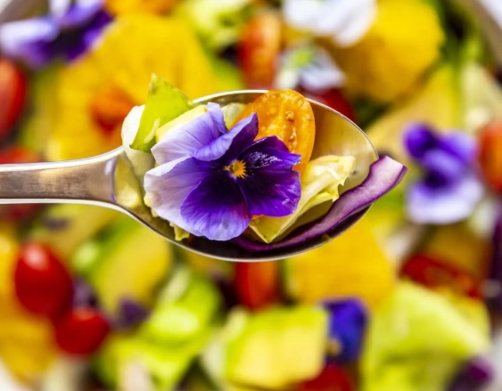 growing edible flowers