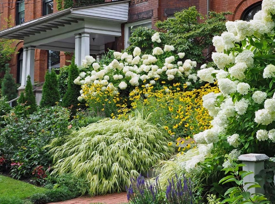 best landscaping plants