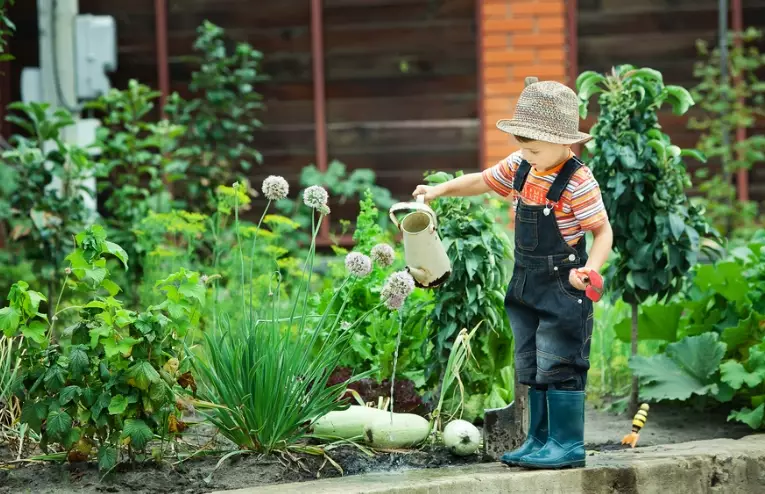 non toxic plants for kids