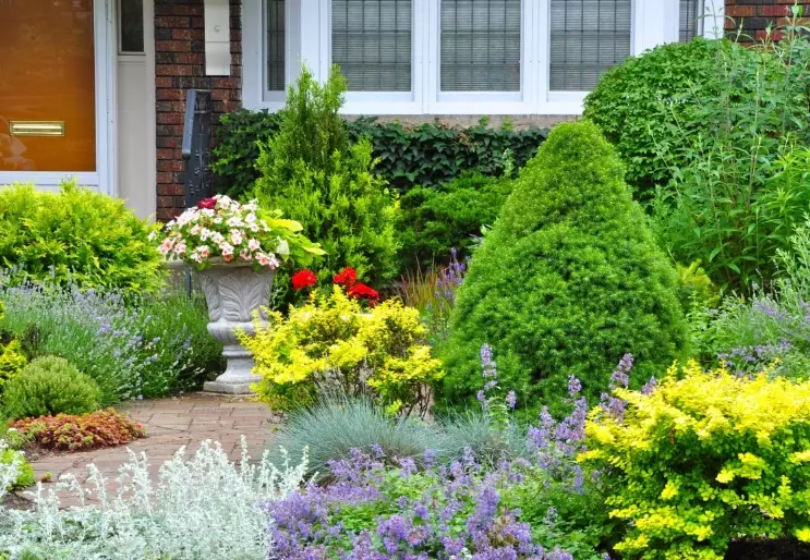 best landscaping plants