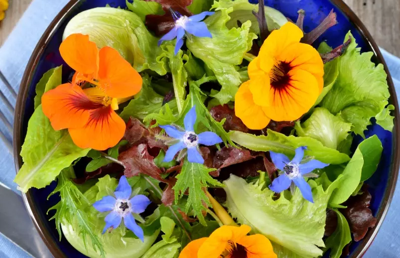 growing edible flowers